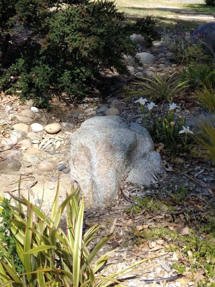 Trusted yard maintenance with custom design in Scotts Valley, CA by Geno’s Landscaping