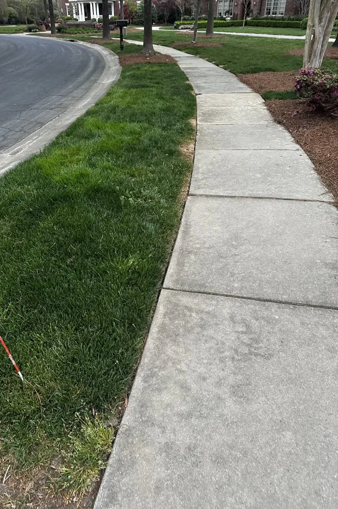 Custom landscape design for year-round maintenance in Charlotte, NC by Genova Landscape