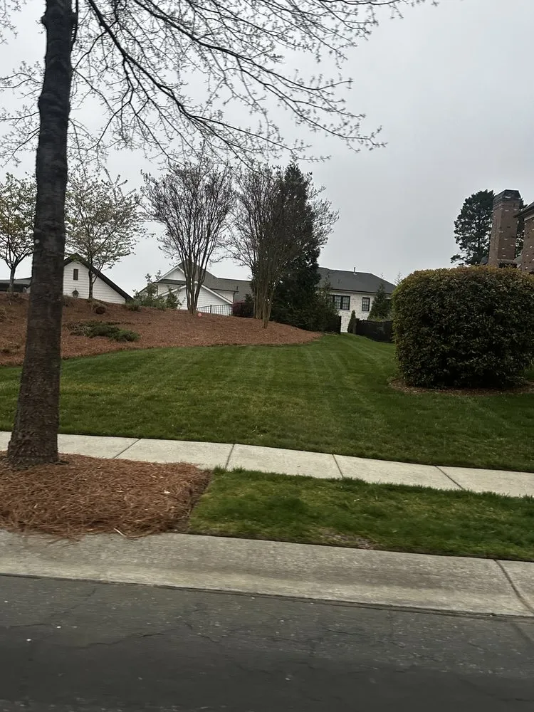 Reliable residential landscaping with custom design across Charlotte, NC - Genova Landscape