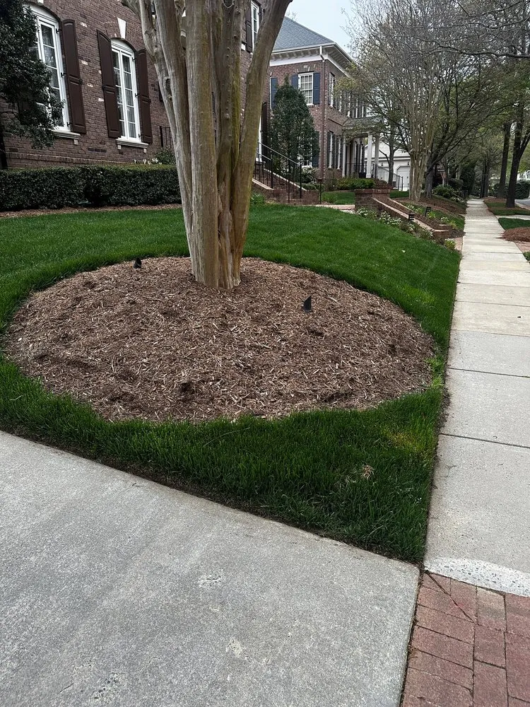 Reliable lawn mowing service in Charlotte, NC - Genova Landscape