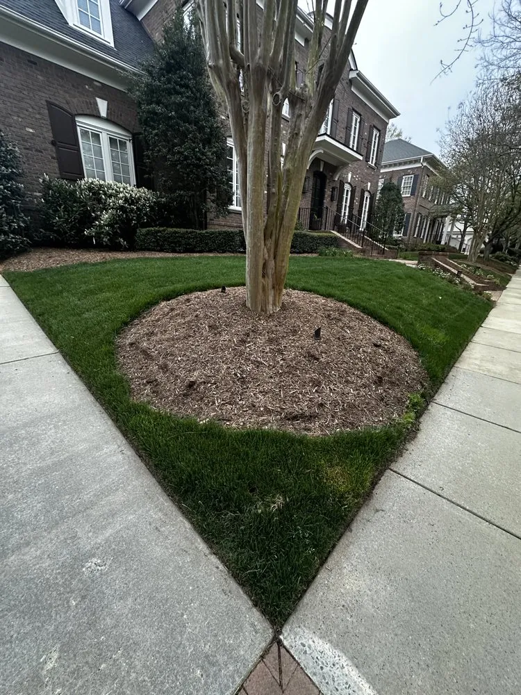 Local outdoor landscaping for residential properties across Charlotte, NC - Genova Landscape