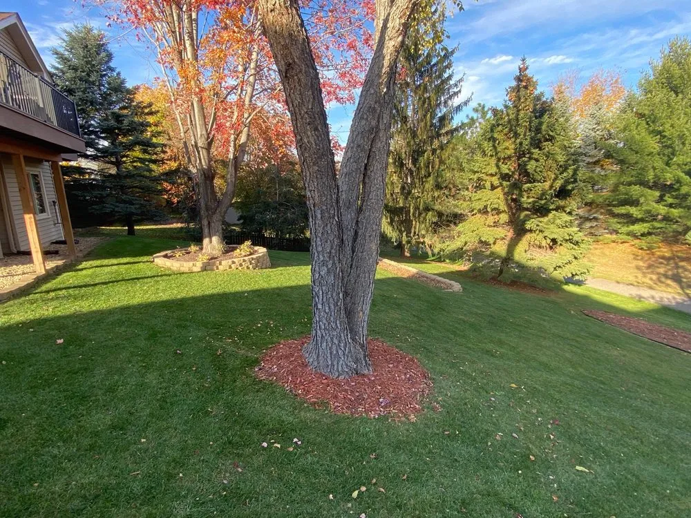 Top-rated yard cleanup service in Rosemount, MN - Gen's Lawn Maintenance