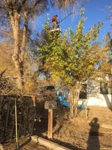 Top-rated yard maintenance with custom design across Pueblo, CO - Genta Tree And Landscaping