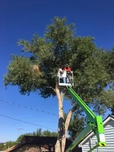 Custom landscaping services in Pueblo, CO by Genta Tree And Landscaping