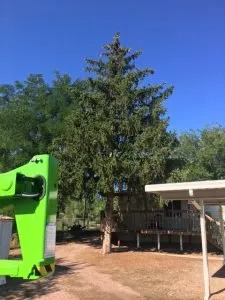 Local landscape design in Pueblo, CO - Genta Tree And Landscaping