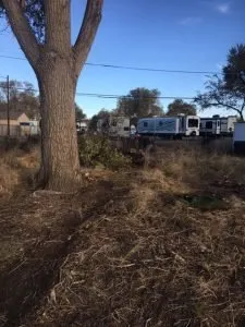 Reliable lawn mowing service in Pueblo, CO - Genta Tree And Landscaping