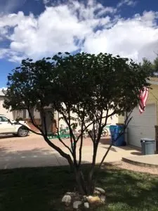 Reliable outdoor landscaping for outdoor upgrades across Pueblo, CO - Genta Tree And Landscaping