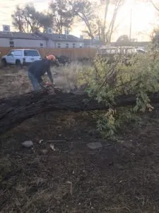 Reliable residential landscaping in Pueblo, CO by Genta Tree And Landscaping