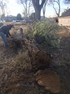 Affordable outdoor landscaping for beautiful yards across Pueblo, CO - Genta Tree And Landscaping
