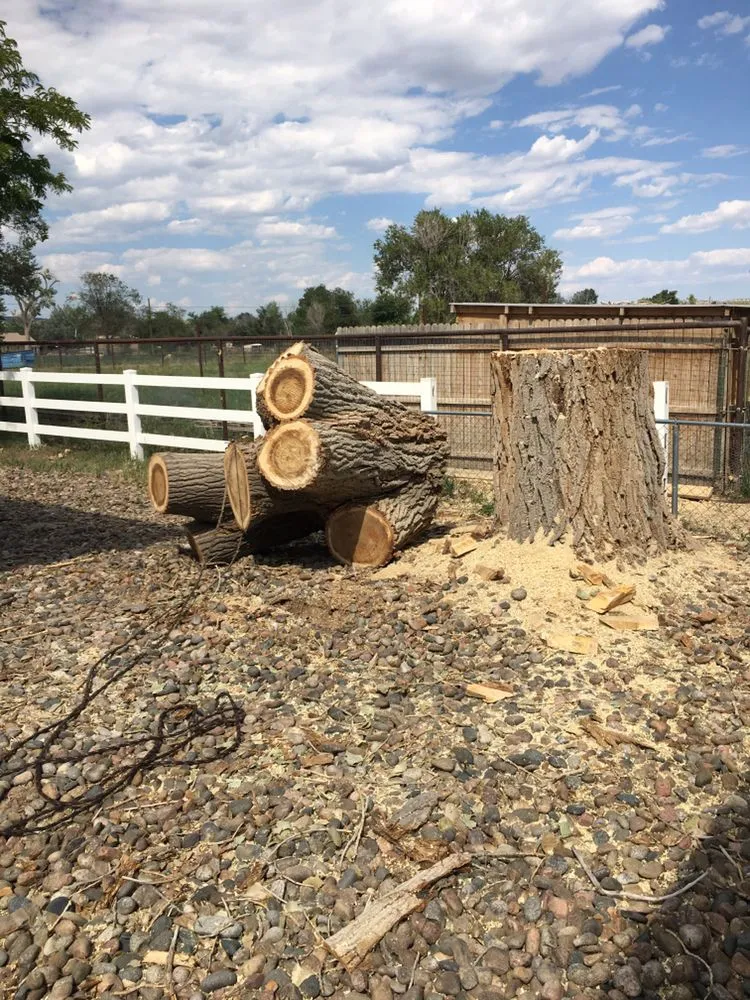 Expert lawn mowing service in Pueblo, CO - Genta Tree And Landscaping