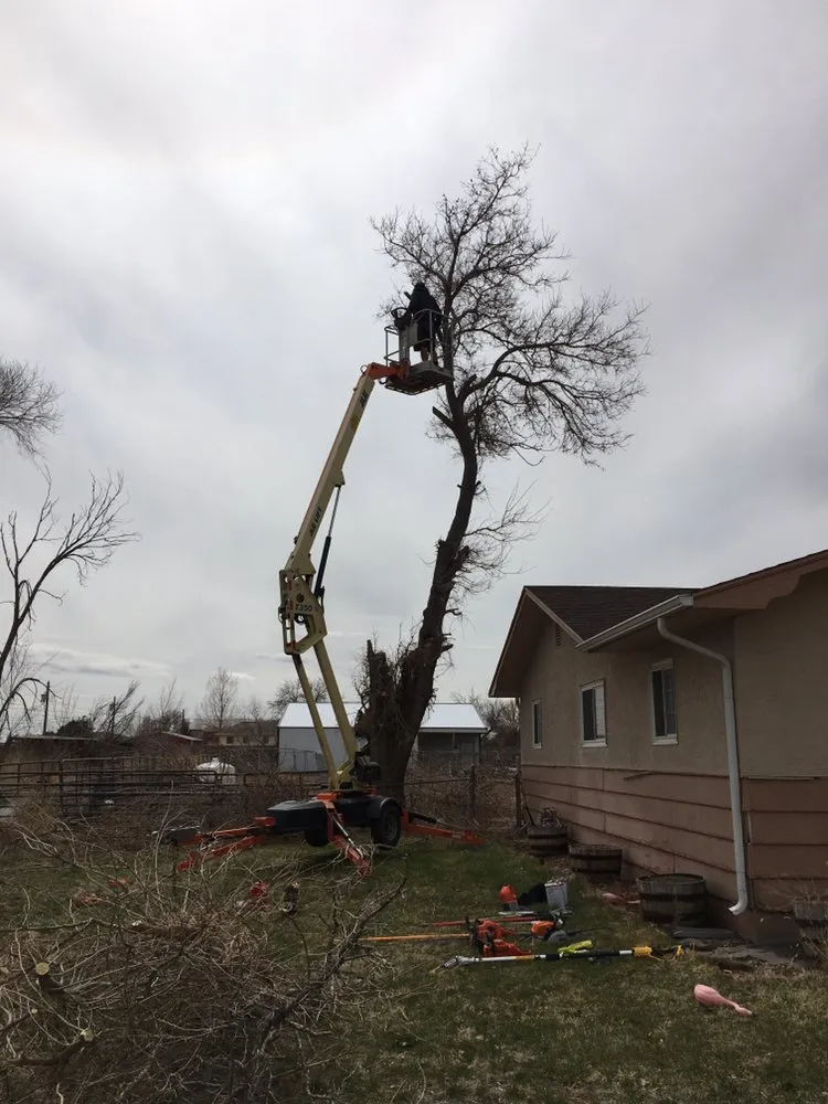 Professional outdoor landscaping for outdoor upgrades in Pueblo, CO by Genta Tree And Landscaping