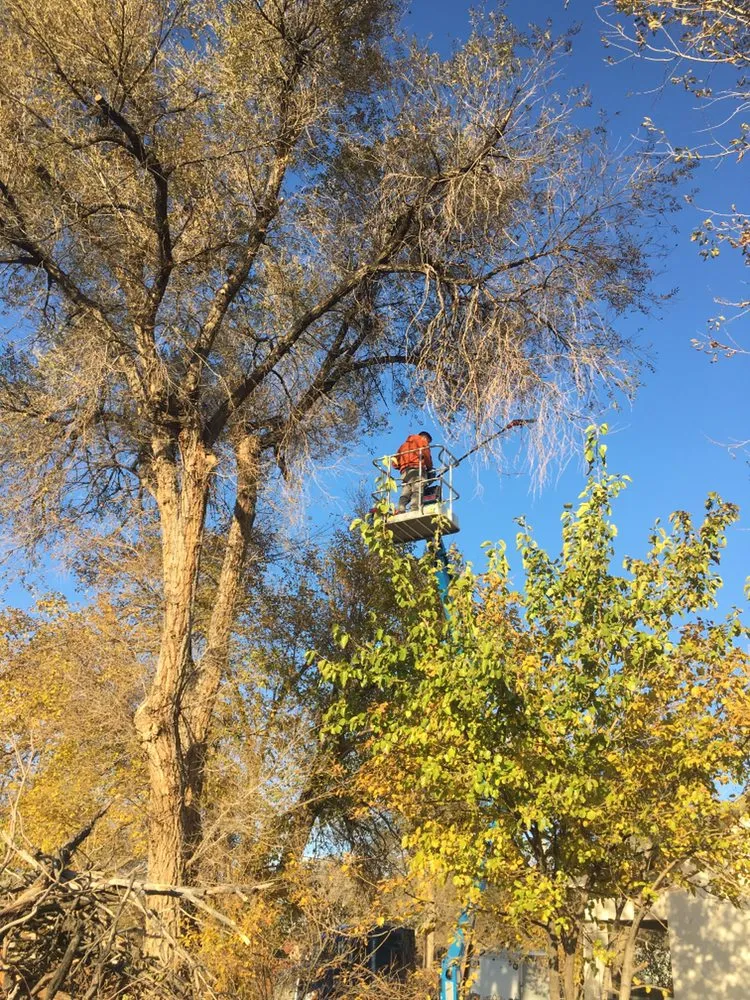 Custom landscape design experts serving Pueblo, CO - Genta Tree And Landscaping