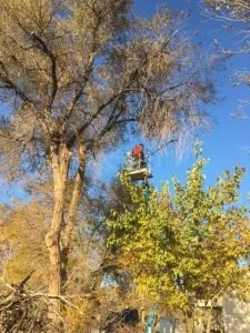 Custom garden landscaping experts serving Pueblo, CO - Genta Tree And Landscaping