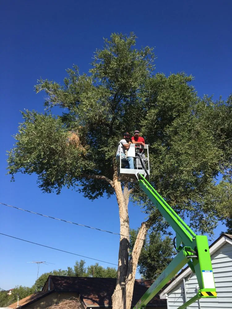 Custom yard maintenance for outdoor upgrades in Pueblo, CO by Genta Tree And Landscaping
