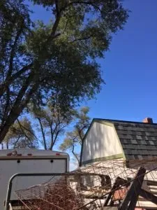 Professional landscape design near you in Pueblo, CO by Genta Tree And Landscaping