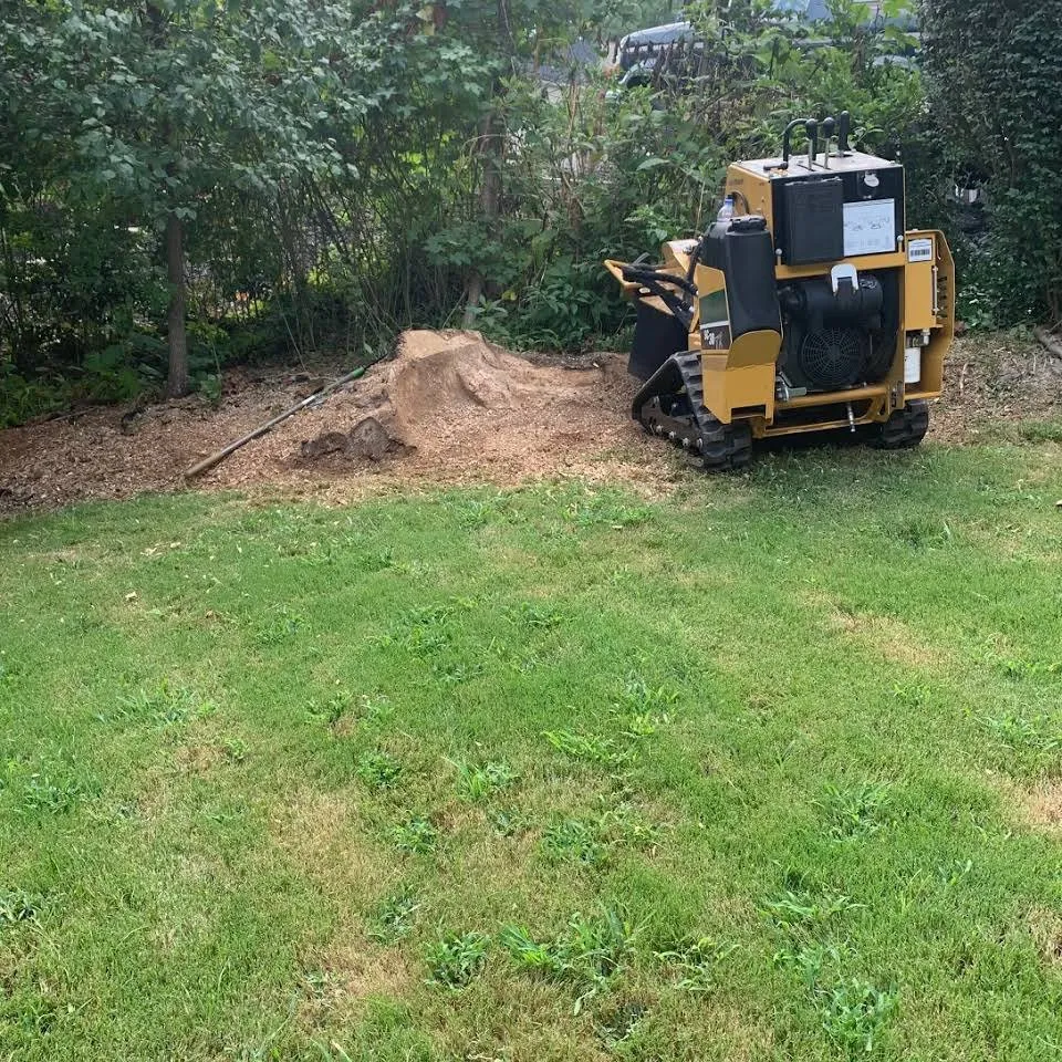 Reliable outdoor landscaping in Woodstock, GA by Gentile’s Landscaping