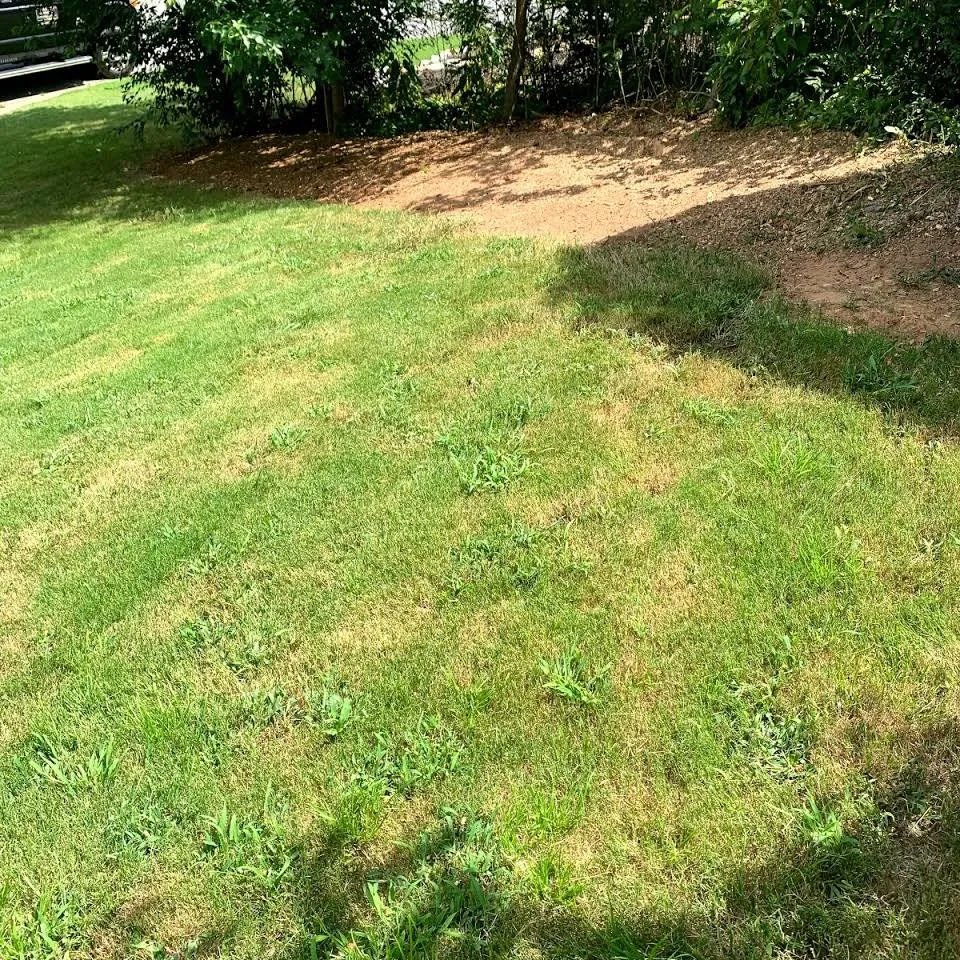 Trusted outdoor landscaping with custom design in Woodstock, GA by Gentile’s Landscaping