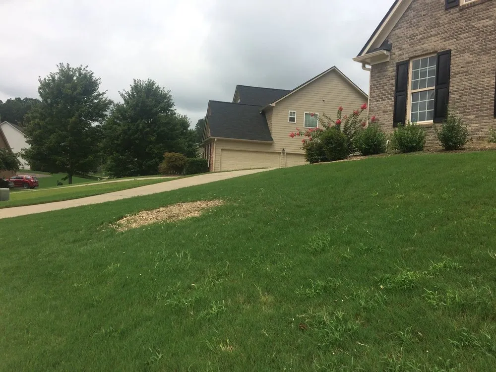 Top-rated yard cleanup service for residential properties across Woodstock, GA - Gentile’s Landscaping