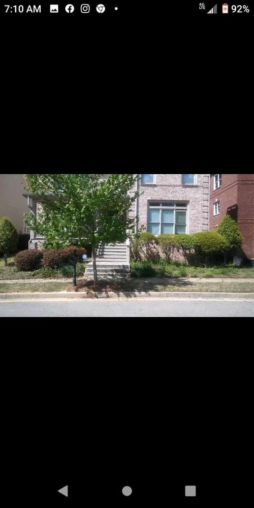 Expert yard cleanup service experts serving Riverdale, GA - Gentirety