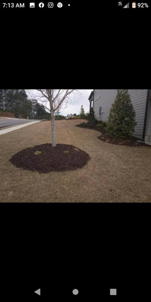 Custom yard cleanup service for outdoor upgrades across Riverdale, GA - Gentirety