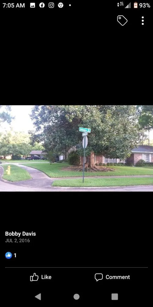 Affordable landscape design for residential properties in Riverdale, GA by Gentirety