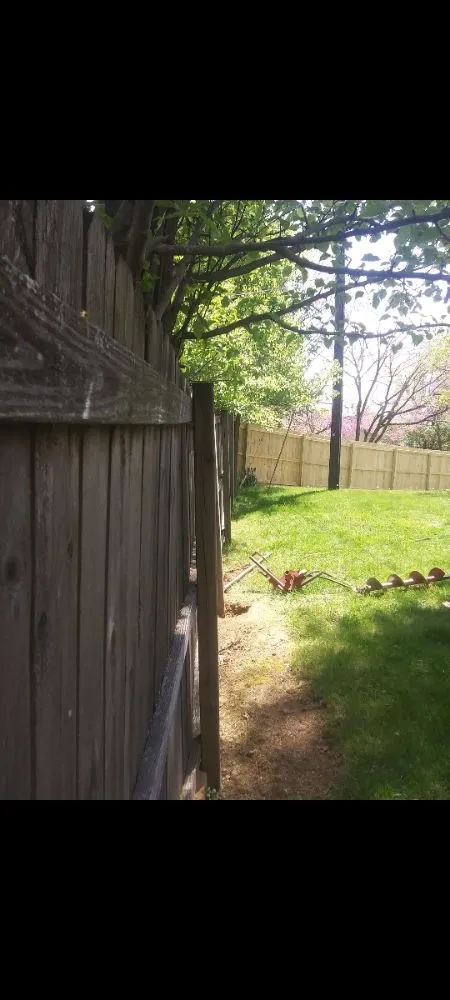 Expert yard cleanup service for beautiful yards in Lexington-Fayette, KY by Gentle Earth Innovations
