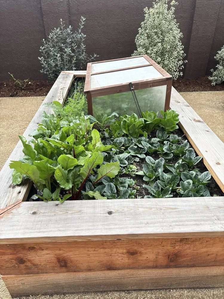 Expert garden landscaping for residential properties in San Francisco, CA by Gentle Giant's Gardening and Landscaping Services