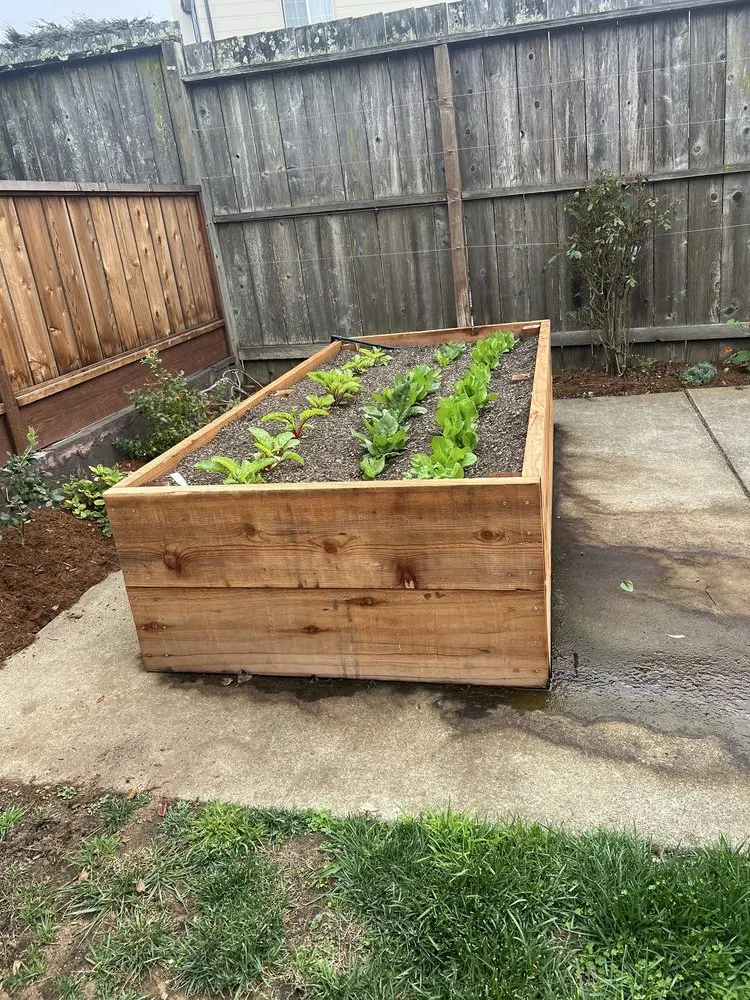 Reliable residential landscaping in San Francisco, CA by Gentle Giant's Gardening and Landscaping Services