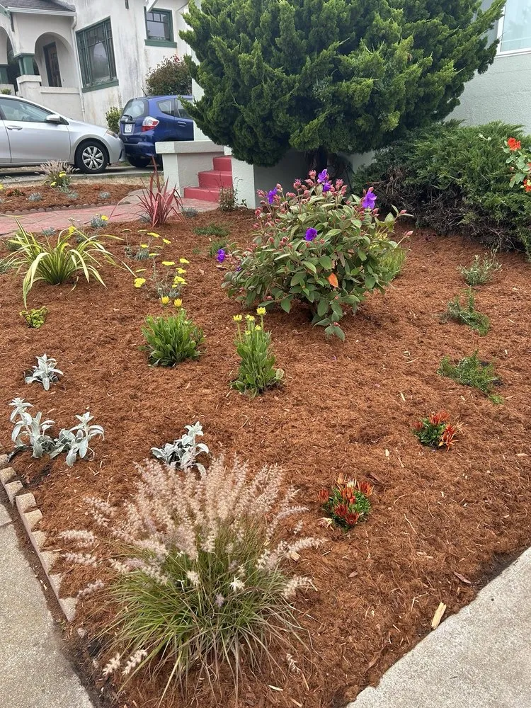 Affordable landscape installation in San Francisco, CA by Gentle Giant's Gardening and Landscaping Services