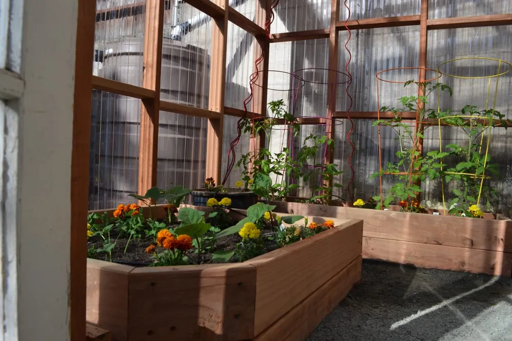 Custom yard maintenance in San Francisco, CA - Gentle Giant's Gardening and Landscaping Services