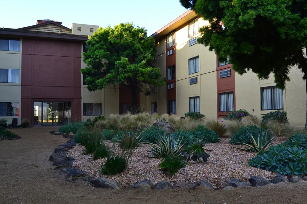 Reliable landscape design in San Francisco, CA by Gentle Giant's Gardening and Landscaping Services