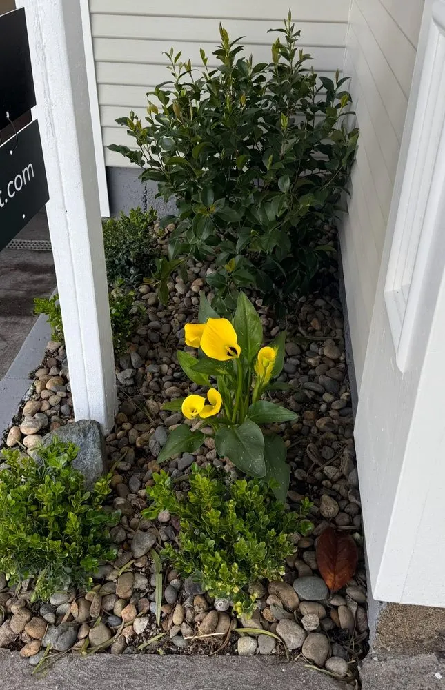 Expert lawn mowing service experts serving San Francisco, CA - Gentle Giant's Gardening and Landscaping Services