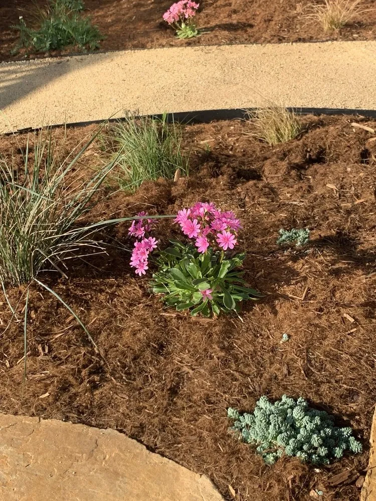 Custom lawn mowing service with custom design in San Francisco, CA by Gentle Giant's Gardening and Landscaping Services