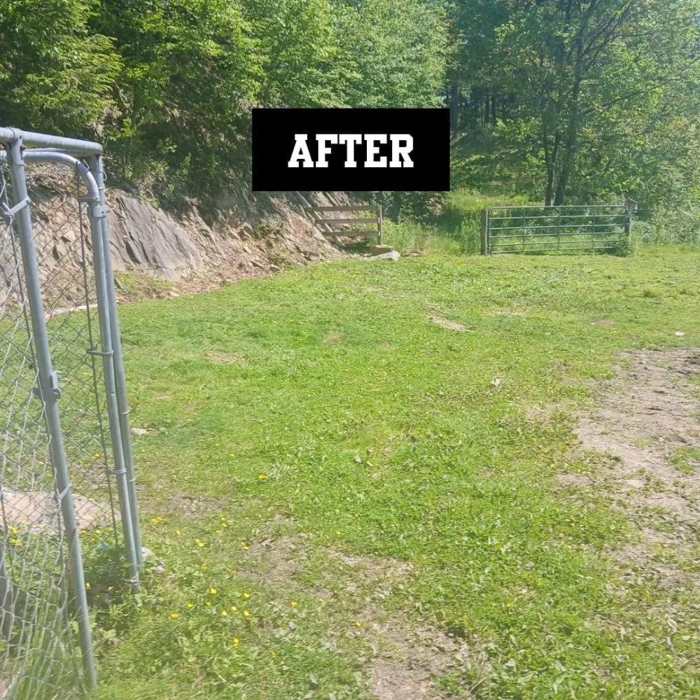 Professional yard cleanup service experts serving Danbury, CT - gentle green lawncare