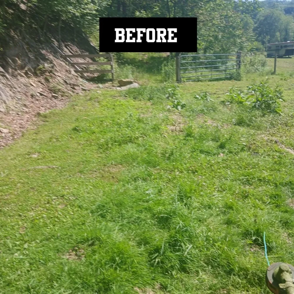 Affordable lawn mowing service for beautiful yards in Danbury, CT by gentle green lawncare