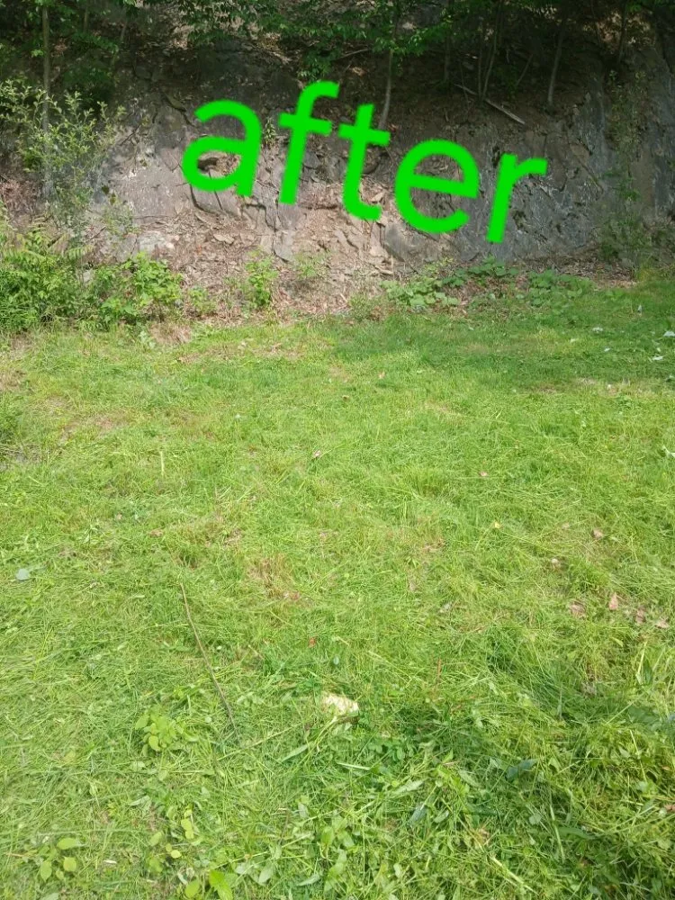 Expert yard cleanup service in Danbury, CT by gentle green lawncare