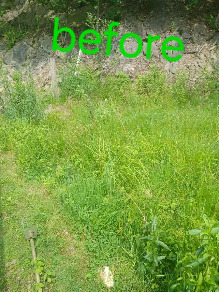 Top-rated landscape installation in Danbury, CT by gentle green lawncare