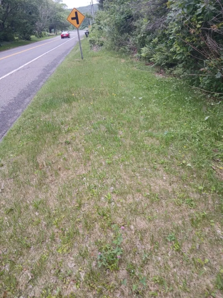 Custom lawn mowing service in Danbury, CT by gentle green lawncare