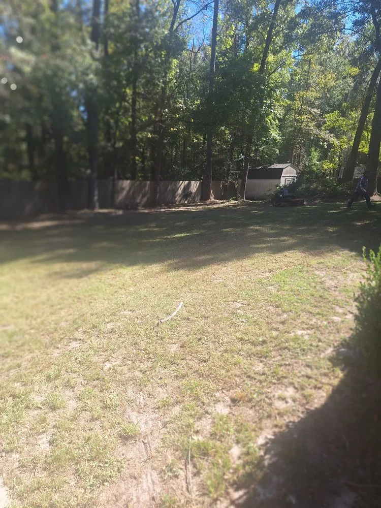 Professional yard cleanup service experts serving Lindale, TX - Gentry Full Service Landscaping