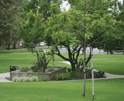 Local lawn mowing service in Brea, CA by Gentry Landscape