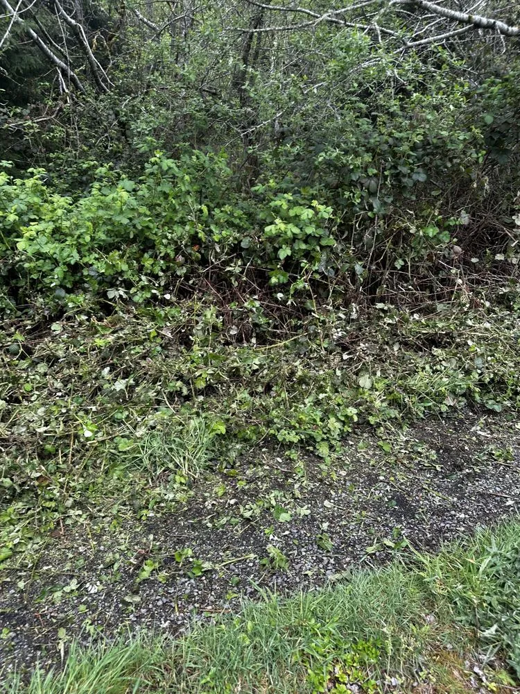 Top-rated yard cleanup service for year-round maintenance across Warrenton, OR - Gentry Landscaping