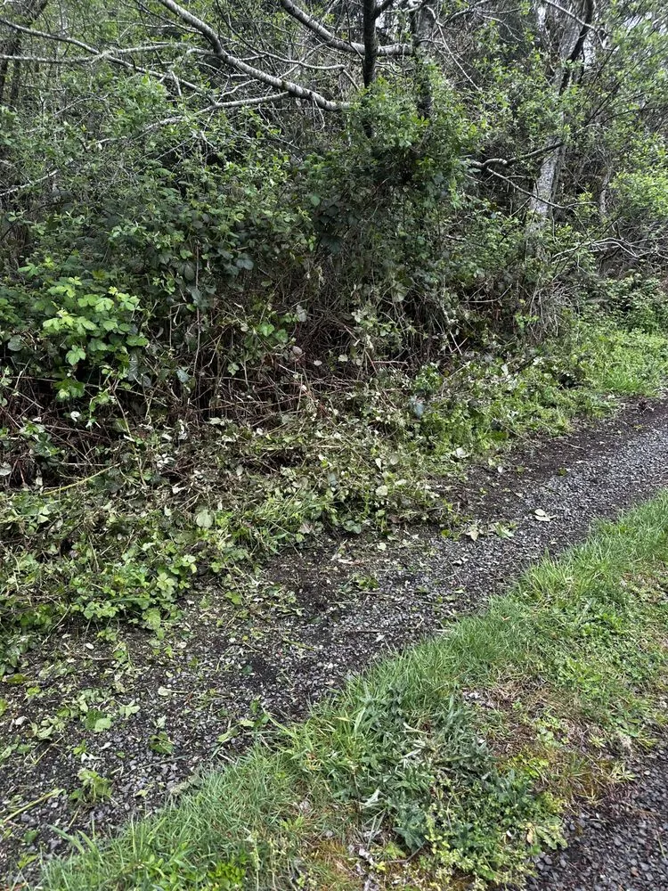 Expert landscape installation near you across Warrenton, OR - Gentry Landscaping