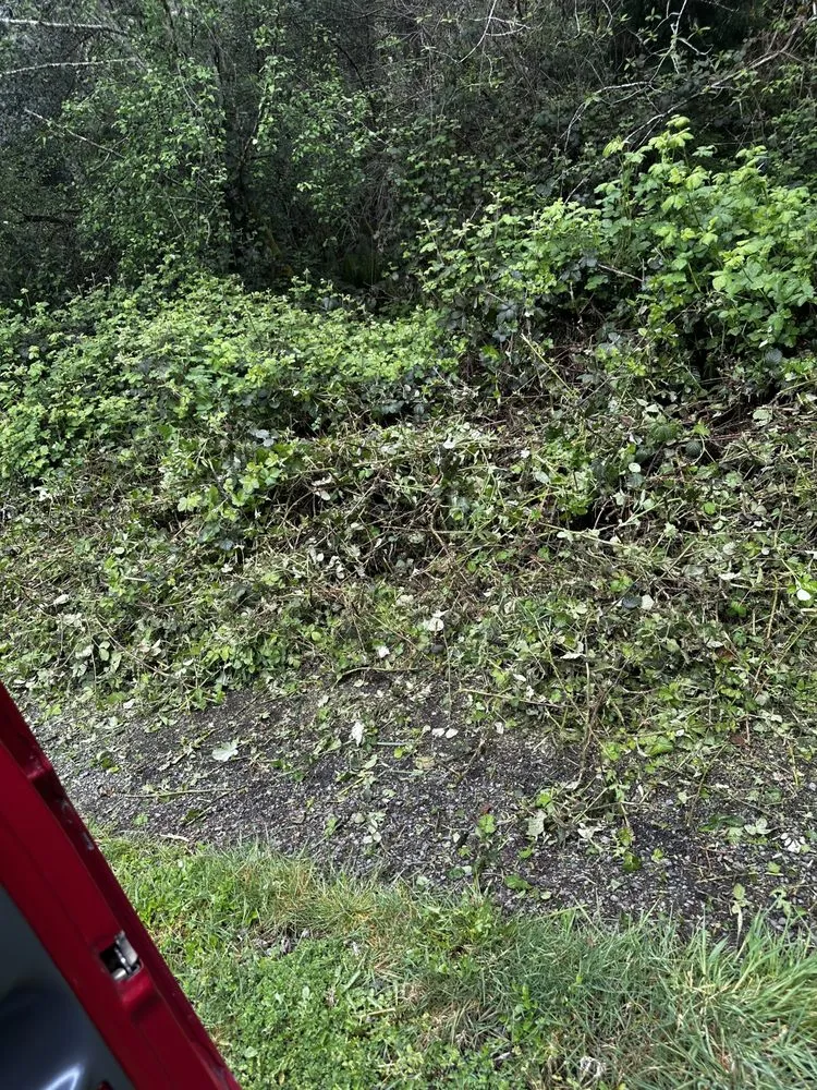 Top-rated yard maintenance in Warrenton, OR by Gentry Landscaping