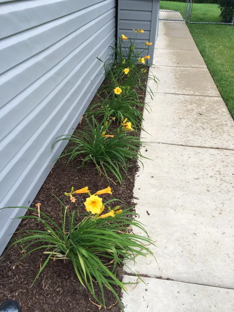 Local lawn mowing service in Itasca, IL by Genualdi Landscaping