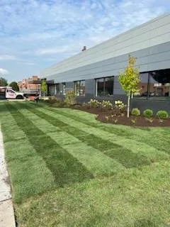 Custom landscaping services for year-round maintenance across Itasca, IL - Genualdi Landscaping