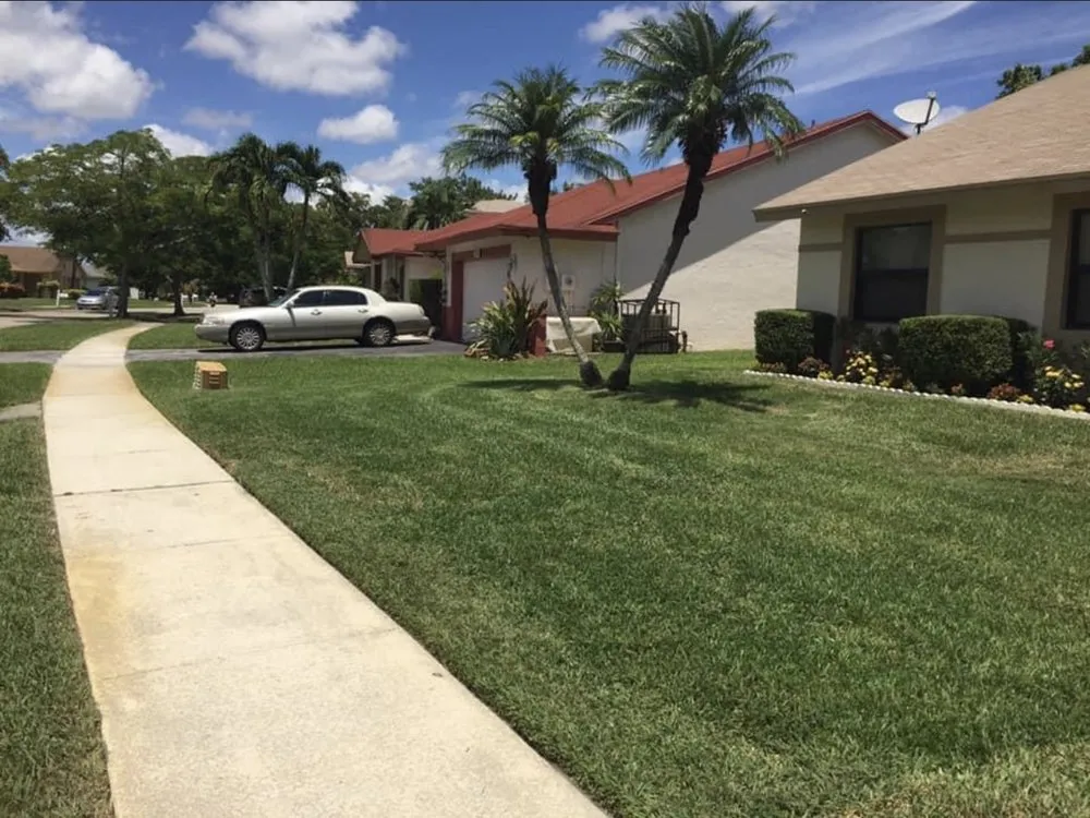 Reliable landscape design for outdoor upgrades in Miami, FL by Genuine Care Landscaping