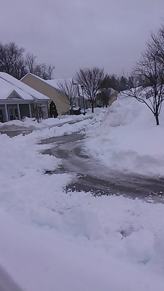 Expert residential landscaping for outdoor upgrades across Glen Burnie, MD - Geo Contractors