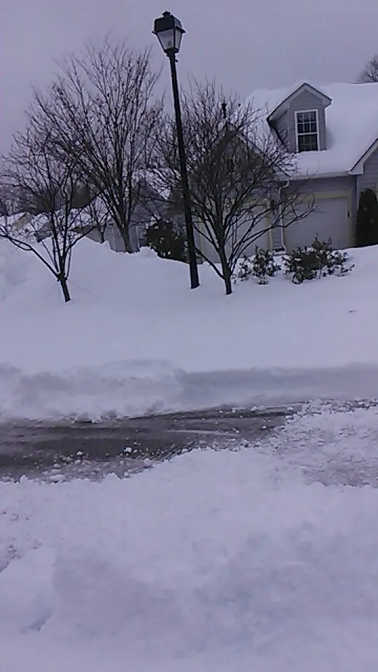 Professional lawn mowing service for year-round maintenance in Glen Burnie, MD by Geo Contractors