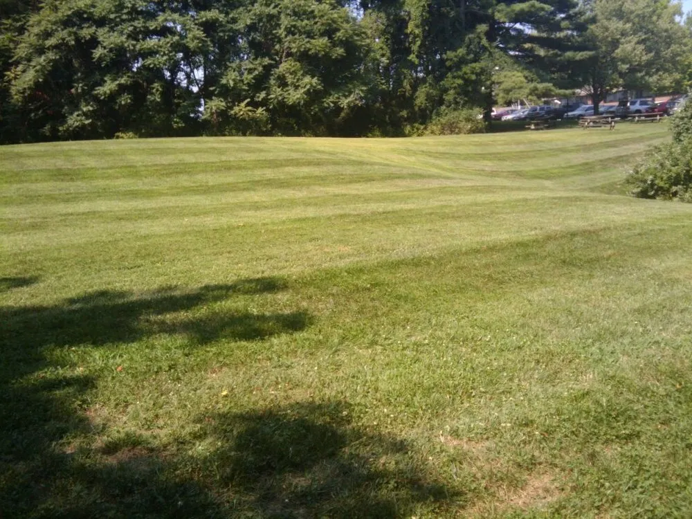 Custom landscape installation in Glen Burnie, MD - Geo Contractors