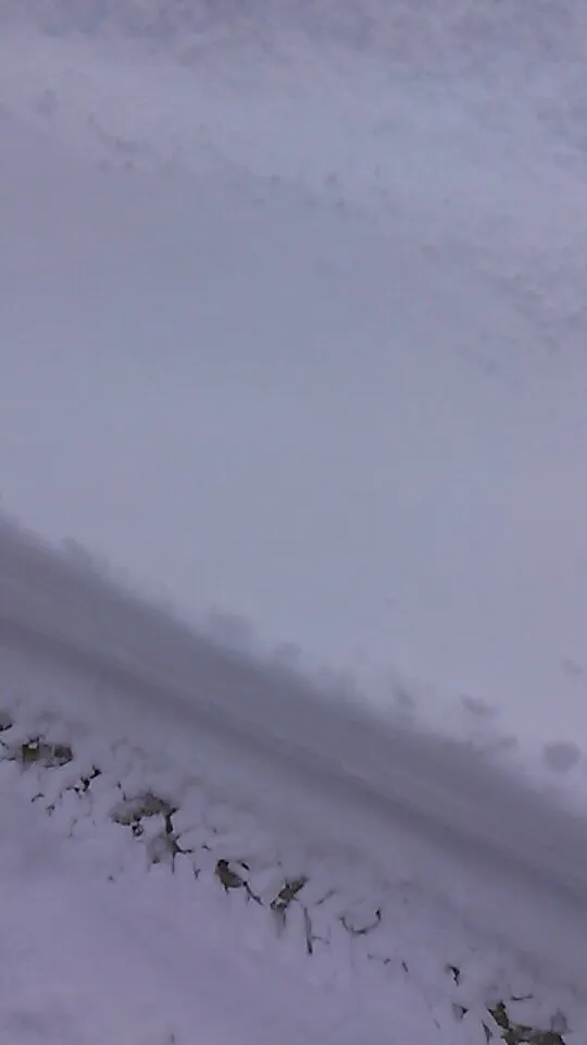 Expert lawn mowing service in Glen Burnie, MD by Geo Contractors